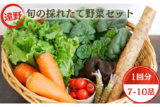 旬の採れたて 野菜 の詰め合わせ セット （7～10品） レギュラーサイズ 【こんたでぃーの遠野】 