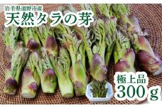 タラの芽 天然 極上品 300g 岩手県 遠野市 産 たらの芽 「もちタラ」 田村りんご店 山菜 期間限定 数量限定 【 先行予約 2025年4月下旬発送】
