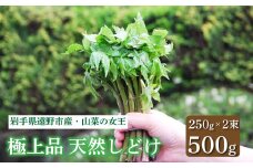 しどけ 天然 極上品 250g×2束 計500g 岩手県 遠野市 産 シドケ 山菜 田村りんご店 期間限定 数量限定 【 先行予約 2025年5月上旬発送】