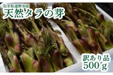 タラの芽 天然 訳あり 品 500g 岩手県 遠野市 産 岩手県 遠野市 産 たらの芽 山菜 田村りんご店 期間限定 数量限定 【 先行予約 2025年4月下旬発送】