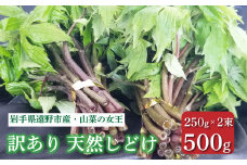 しどけ 天然 訳あり 品 250g×2束 計500g 岩手県 遠野市 産 シドケ 山菜 田村りんご店 期間限定 数量限定 【 先行予約 2025年5月上旬発送】
