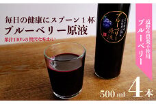 【農薬不使用】遠野のブルーベリーから絞った原液4本セット【道の奥ファーム】