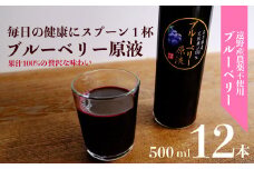 【農薬不使用】遠野のブルーベリーから絞った原液12本セット【道の奥ファーム】