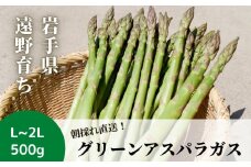 アスパラガス 500g こんたでぃーの遠野  採れたて 岩手県 遠野市 産 グリーン アスパラ 【 先行予約 2025年5月中旬発送】