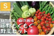 自然農法 遠野 もぐもぐ 夏野菜セット Sサイズ 約7～10種類 【 2.0kg 以上保証】 栽培期間中 農薬不使用 農家 朝採り 直送 遠野もぐもぐカントリー