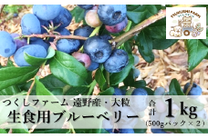 生 ブルーベリー 果実 500g × 2パック 合計 1kg 遠野産 大粒 完熟 つくしファーム  【先行予約】2025年7月上旬から順次発送予定