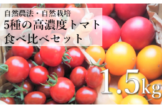 自然農法 5種 高濃度 ミニ / ミディ / 大玉トマト 食べ比べ セット 1.5kg  栽培期間中 農薬不使用 農家 朝採り 直送 遠野もぐもぐカントリー 
