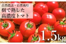 自然農法 樹で熟した 高濃度 大玉 トマト 1.5kg 約 11玉 前後  栽培期間中 農薬不使用 農家 朝採り 直送 遠野もぐもぐカントリー