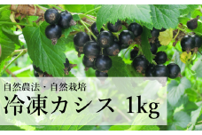 自然農法 冷凍 カシス ( 1kg ) 完熟収穫 栽培期間中 農薬不使用 農家 直送 遠野もぐもぐカントリー 