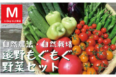 自然農法 遠野 もぐもぐ 夏野菜セット Mサイズ 約9～12種類 【 3.5kg 以上保証】 栽培期間中 農薬不使用 農家 朝採り 直送 遠野もぐもぐカントリー 