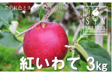 【先行予約】 松陽園 樹上完熟 りんご 紅いわて 3kg 【2025年9月中旬ごろから発送予定】 農家直送