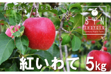【先行予約】松陽園 樹上完熟 りんご 紅いわて 5kg 【2025年9月中旬ごろから発送予定】 農家直送
