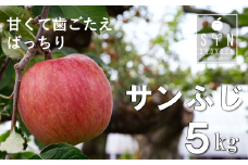 【 令和7年産 先行予約 】 松陽園 樹上完熟 りんご サンふじ 5kg  岩手県 遠野市  【2025年11月中旬ごろから発送予定】 農家直送