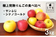【 令和7年産 先行予約 】 松陽園 樹上 完熟 りんご 食べ比べ セット サンふじ シナノゴールド 3kg　岩手県 遠野市 農家直送  【2025年11月中旬ごろから発送予定】