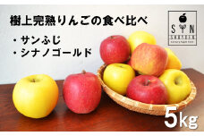【 令和7年産 先行予約 】 松陽園 樹上 完熟 りんご 食べ比べ セット サンふじ シナノゴールド 5kg　岩手県遠野市 農家直送  【2025年11月中旬ごろから発送予定】