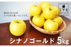 松陽園 樹上 完熟 りんご シナノゴールド 5kg　岩手県 遠野市 農家直送 年内発送