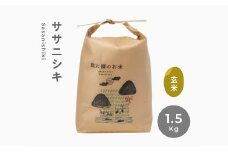 令和6年産 無肥料 無農薬 の ササニシキ 玄米 1.5kg 勘六縁 の お米  【栽培期間中農薬不使用】