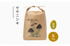 令和6年産 無肥料 無農薬 の ササニシキ 玄米 5kg 勘六縁 の お米  【栽培期間中農薬不使用】