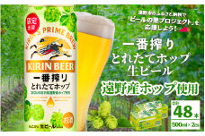 キリン 一番搾り とれたてホップ 生ビール 500ml × 24本 2ケース  ＜ 遠野産ホップ 使用 ＞  限定 ビール お酒 BBQ 宅飲み 家飲み 晩酌 ギフト 缶ビール KIRIN 麒麟 きりん キリンビール 人気 ＜ ビールの里 農家 支援 応援 ＞