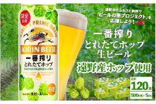 キリン 一番搾り とれたてホップ 生ビール 500ml × 24本 5ケース 【 先行予約 2025年11月4日より順次発送 】 ＜ 遠野産ホップ 使用 ＞  限定 ビール お酒 BBQ 宅飲み 家飲み 晩酌 ギフト 缶ビール KIRIN 麒麟 きりん キリンビール 人気 ＜ ビールの里 農家 支援 応援 ＞ 