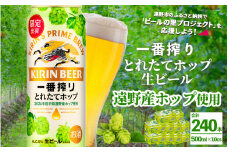 キリン 一番搾り とれたてホップ 生ビール 500ml × 24本 10ケース  ＜ 遠野産ホップ 使用 ＞ 限定 ビール お酒 BBQ 宅飲み 家飲み 晩酌 ギフト 缶ビール KIRIN 麒麟 きりん キリンビール 人気 ＜ ビールの里 農家 支援 応援 ＞ 