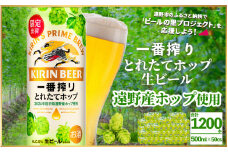 キリン 一番搾り とれたてホップ 生ビール 500ml × 24本 50ケース  ＜ 遠野産ホップ 使用 ＞  限定 ビール お酒 BBQ 宅飲み 家飲み 晩酌 ギフト 缶ビール KIRIN 麒麟 きりん キリンビール 人気 ＜ ビールの里 農家 支援 応援 ＞ 