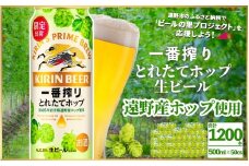 キリン 一番搾り とれたてホップ 生ビール 500ml × 24本 50ケース 【 先行予約 2025年11月4日より順次発送 】 ＜ 遠野産ホップ 使用 ＞  限定 ビール お酒 BBQ 宅飲み 家飲み 晩酌 ギフト 缶ビール KIRIN 麒麟 きりん キリンビール 人気 ＜ ビールの里 農家 支援 応援 ＞ 