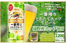 キリン 一番搾り とれたてホップ 生ビール 500ml × 24本 50ケース 【 先行予約 2025年11月4日より順次発送 】 ＜ 遠野産ホップ 使用 ＞  限定 ビール お酒 BBQ 宅飲み 家飲み 晩酌 ギフト 缶ビール KIRIN 麒麟 きりん キリンビール 人気 ＜ ビールの里 農家 支援 応援 ＞  WBA2025 International Lager 世界一