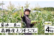 【先行予約】 菊池一真の 高糖度 とうもろこし ゴールドラッシュ 約 4kg （ Lサイズ 10~12本） 農家直送【2025年7月下旬頃発送予定】日付指定不可