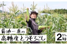 【先行予約】 菊池一真の 高糖度 とうもろこし ゴールドラッシュ 約 2kg （ Lサイズ 5~6本 ） 農家直送 【2025年7月下旬頃発送予定】日付指定不可