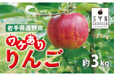 訳あり りんご（約3kg） / 岩手県 遠野市 産 松陽園