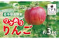 ワケありりんご（約3kg）