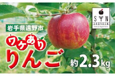 訳あり りんご（約2.3kg） / 岩手県 遠野市 産 松陽園