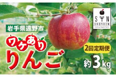 訳あり りんご 定期便 2回（約3kg） / 岩手県 遠野市 産 松陽園 11-12月 発送 10月31日受付終了