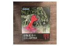 京極夏彦のえほん遠野物語　かっぱ / 書籍 本 岩手県 遠野市 民話 内田書店