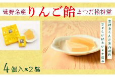 【遠野銘菓】 りんご飴 8個【 まつだ松林堂 】