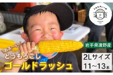 【先行予約】甘ーい とうもろこし ゴールドラッシュ 朝採り 約 5kg 2L サイズ 11~13本 2025年 7月下旬より順次発送【こんたでぃーの遠野】