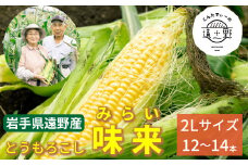【先行予約】甘く 瑞々しい 朝採り とうもろこし 味来 約 5kg 2L サイズ 12~14本 2024年 7月下旬より順次発送【こんたでぃーの遠野】