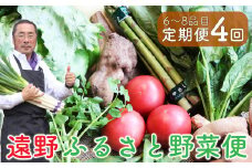 【定期便】 遠野ふるさと野菜便（定期年4回：奇数月）《 野菜ソムリエ 厳選 数量限定 岩手県 遠野市 野菜セット 野菜 詰め合わせ 》