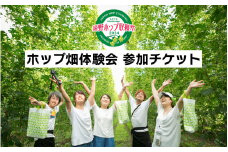 【遠野ホップ収穫祭2024】ホップ畑体験会参加チケット　8月25日（日）13:00出発 - 14:00会場戻り