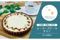 ロー チーズケーキ タルト ホール15cm ロースイーツ 冷凍 【天使のはしご】 / 岩手県 遠野市