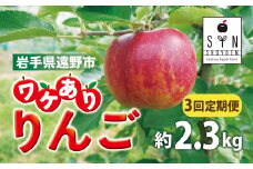 訳あり りんご 定期便 3回（約2.3kg） / 岩手県 遠野市 産 松陽園 10-12月 発送 9月30日受付終了