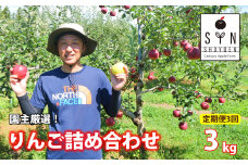 【先行予約 定期便 】園主 厳選 りんご 詰め合わせ 3kg 定期便 3回 松陽園 / 岩手県 遠野市 産 2025年10-12月 発送