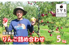 【先行予約】園主 厳選 りんご 詰め合わせ 5kg （約12～18個） 松陽園 / 岩手県 遠野市 産【2025年10月中旬から順次発送】