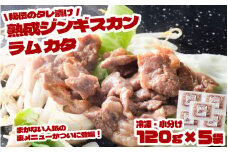 秘伝 の タレ漬け 熟成 ジンギスカン ラムカタ 120g 5食入り 【元祖「あんべ」 遠野ジンギスカン 】ラム肉 羊肉 仔羊肉  ヘルシー 味付 冷凍 小分け 【8/22より順次発送】