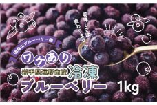 訳あり 冷凍 ブルーベリー 1kg 岩手県 遠野市 遠野食工房蔵 / 栽培期間中 農薬不使用 無農薬 除草剤不使用 砥森山ブルーベリー園