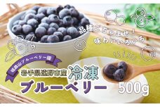 冷凍 ブルーベリー 500g 岩手県 遠野市 遠野食工房蔵 / 栽培期間中 農薬不使用 無農薬 除草剤不使用 砥森山ブルーベリー園