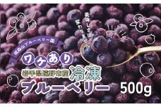 訳あり 冷凍 ブルーベリー 500g 岩手県 遠野市 遠野食工房蔵 / 栽培期間中 農薬不使用 無農薬 除草剤不使用 砥森山ブルーベリー園