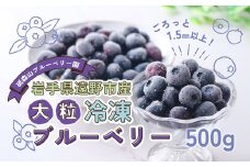 大粒 冷凍 ブルーベリー 500g 岩手県 遠野市 遠野食工房蔵 / 栽培期間中 農薬不使用 無農薬 除草剤不使用 砥森山ブルーベリー園