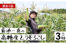 訳あり 菊池一真の 高糖度  とうもろこし ゴールドラッシュ 約 3kg 8～12本前後【 先行予約 2025年7月下旬頃発送予定】日付指定不可